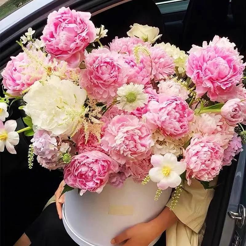 The Queen of Flowers?Peony Flower (Pack of 20) - REYNIXX