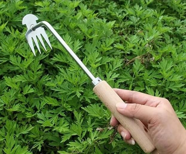 Puller Sharp Weeding Tools - REYNIXX