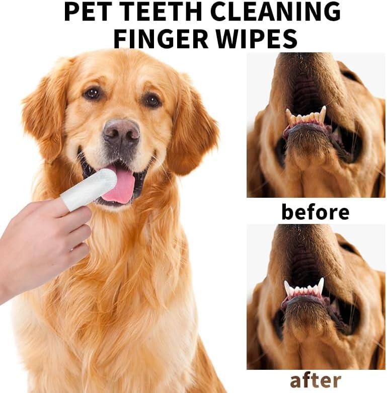 Disposable Dental Finger Wipes For Pets - REYNIXX